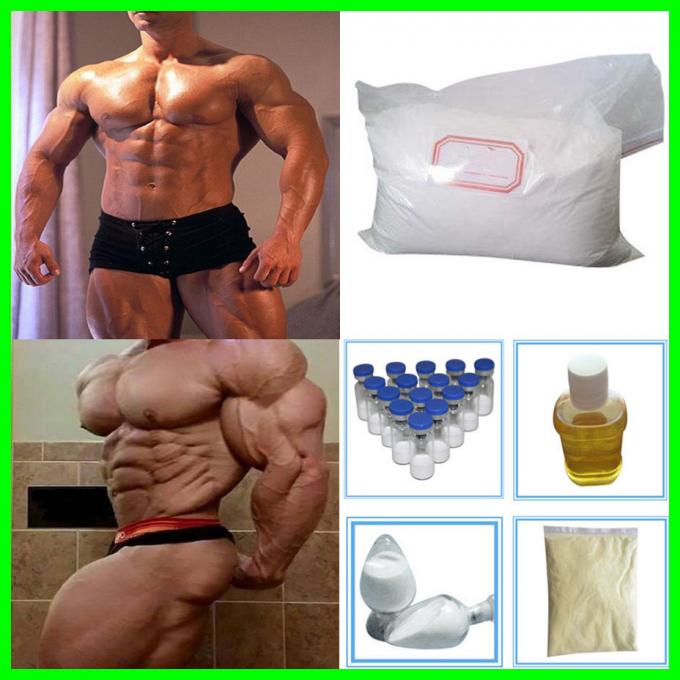 99.5% Assay Nandrolone Decanoate Powder , 360 70 3 Bodybuilding Anabolic Steroids