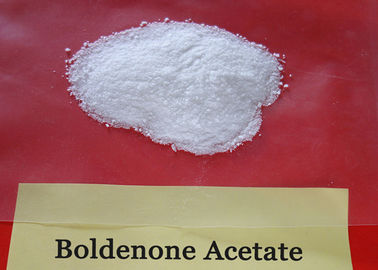 Muscle Gain Hormone Boldenone Steroid Acetate White Crystalline Powders 2363 59 9