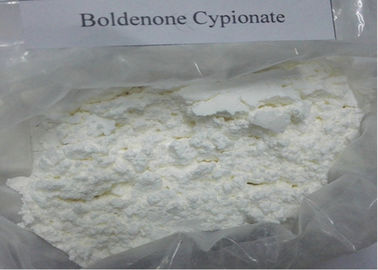 Solution Anabolic Androgenic Steroids Raw Powder Boldenone Cypionate (106505-90-2) Bold Ace