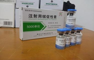 5000IU Livzon Brand HCG Chorionic Gonadotriphin for Injection for Fat Burning , 12629-01-5