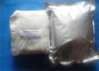 Testosterone Anabolic Steroid Muscle Growth Test Acetate CAS1045-69-8