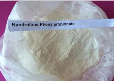 Steroid Raw Powder Nandrolone Phenylpropionate For Bulking Cycle CAS NO.62-90-8