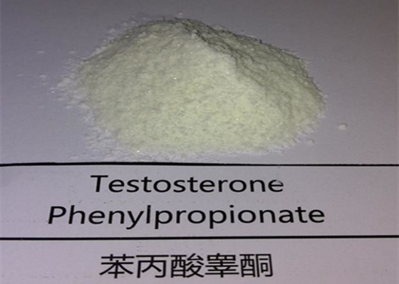 SGS Raw Steroid Powders Testosterone Phenylpropionate CAS 1255-49-8