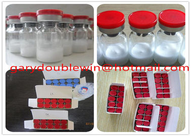 Muscle Building Releasing Growth Hormone Peptides GHRP - 6 Acetate CAS No 87616 84 0
