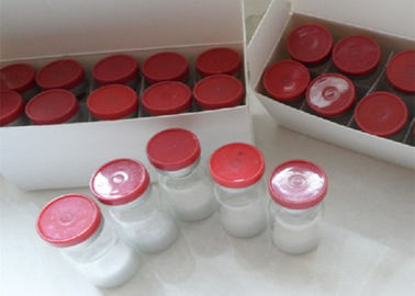 Injectable Peptides Bodybuilding , Fat Loss Peptides For Pharmaceutical Intermediates