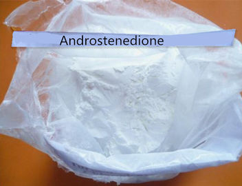 Anti Estrogen white Steroids oiwder Androstenedione CAS No: 63-05-8 For Increasing Serum Levels