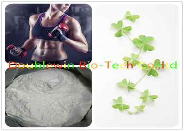 Safe Anabolic Steroids Growth Hormone , Testosterone Cypionate Mass Building Steroids  58 208