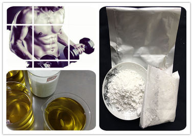 Testosterone Anabolic Steroid Testosterone Decanoate Powder CAS 5721-91-5 For Gain Muscle