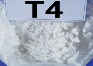 Anti Estrogen Steroids CAS NO.55-03-8 Pharmaceutical Grade T4 Na Levothyroxine Sodium for Weight Loss