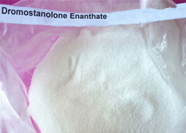 Male Hormone Masteron Enanthate Raw Powder , Building Muscle Drostanolone Enanthate