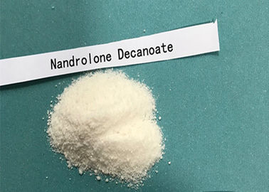 Pharmaceutical Nandrolone Decanoate Steroid , Hormone Nandrolone Hair Loss 