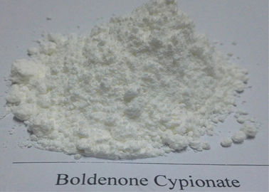 Medicine Grade Boldenone Undecylenate Powder , Boldenone Cypionate 10650 90 2