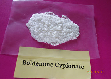 Injectable Boldenone Cypionate 106505 90 2 , Androgenic Anabolic Steroids Powder