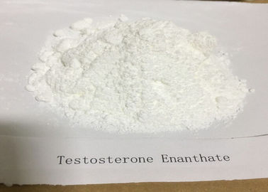 Legit Anabolic Fat Loss Steroids Hormone Booster Testosterone Enanthate 315 37 7