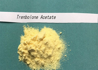 Injectable Liquid Cutting Steroids Trenbolone Acetate10161 34 9 For Cutting Weight 
