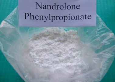 High Purity Nandrolone Phenylpropionate , Special SmellCAS NO:62-90-8 Synthetic Anabolic Nandrolone Steroid
