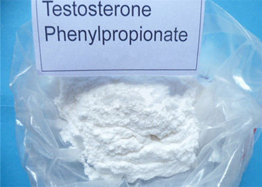 Anabolic Steroid White Powder Testosterone Phenylpropionate CAS NO: 1255-49-8 for Muscle Growth