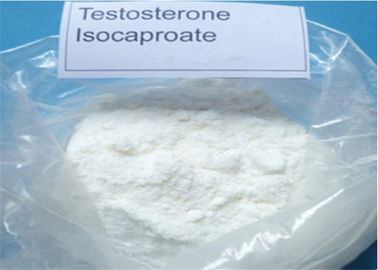 Anabolic Steroid Powder Testosterone Isocaproate CAS 15262-86-9 for Bodybuilding