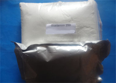 Raw Steroids Mixed-Testosterone Sustanon 250 Powder / Premixed Semi-Finished Oil