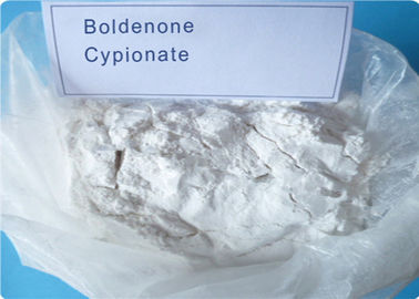 Solution Steroids Hormone Raw Powder Boldenone Cypionate (106505-90-2) Bold Ace