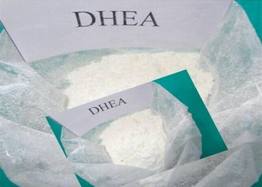 DHEA Raw Steroids Powder Dehydroisoandrosterone DHEA CAS NO.53-43-0