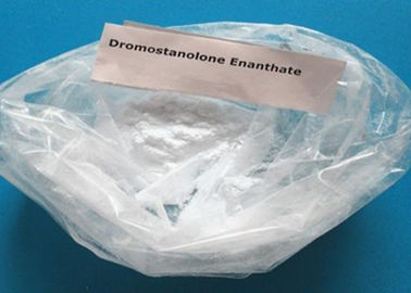 Natural Drostanolone Enanthate Raw Steroid Powders / Drolban Powders CAS 472-61-145
