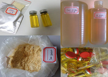 Legit Steroid Powder Finaplix H / Revalor H Trenbolone Acetate CAS NO.10161-34-9