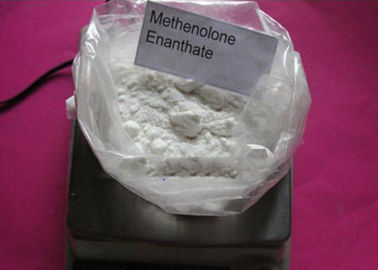 303-42-4 Primobolan Steroid Primobolan Depot Powder Methenolone Enanthate for Fat Loss