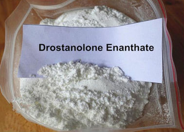 Gym Training Muscle Building Steroids Injectable Drostanolone Enanthate 100MG/ML 472-61-145