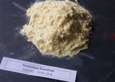 CAS 472-61-546 Trenbolone Enanthate Anabolic Steroids