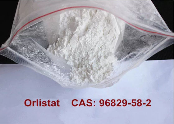 Healthy Anti-Obesity Drug Orlistat For Weight Loss Cas 96829-58-2 White Powder