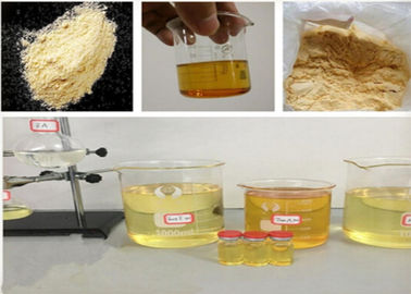 99.5% Assay Primobolan Acetate Injectable , Primobolan Methenolone CAS NO:153-00-4