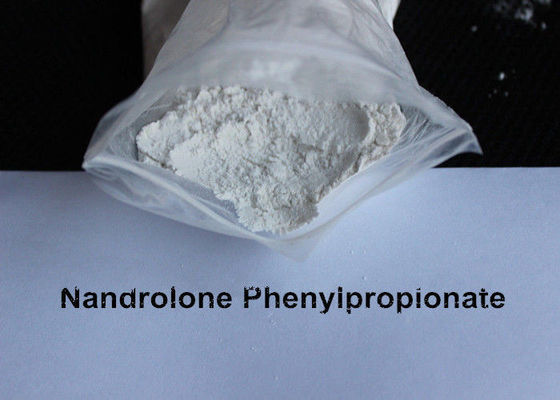 High Purity Nandrolone Steroid , Bodybuilding Prohormone Supplements CAS 62 90 8
