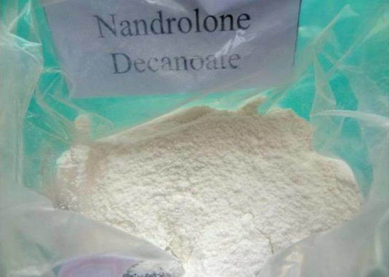 99.5% Assay Nandrolone Decanoate Powder , CAS 360 70 3 Bodybuilding Anabolic Steroids